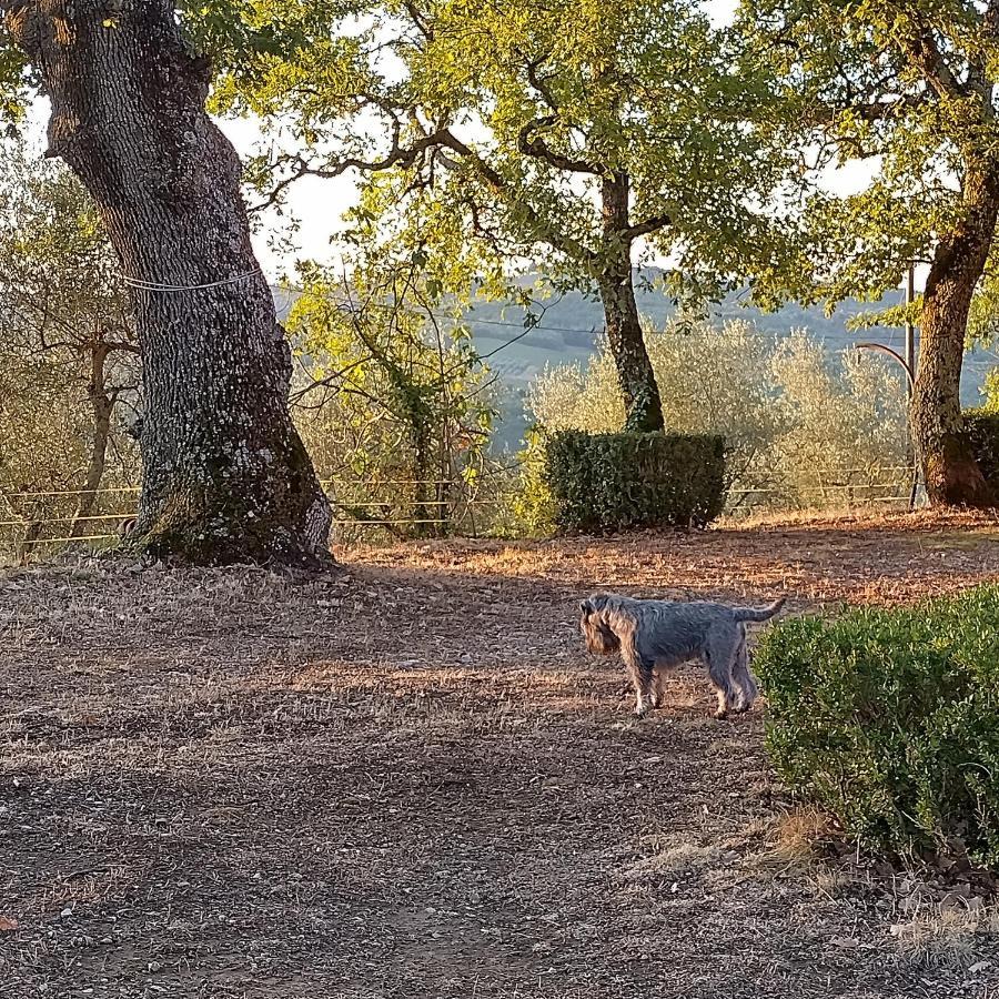 Casanova Di Ricavo Villa Gaiole in Chianti Dış mekan fotoğraf