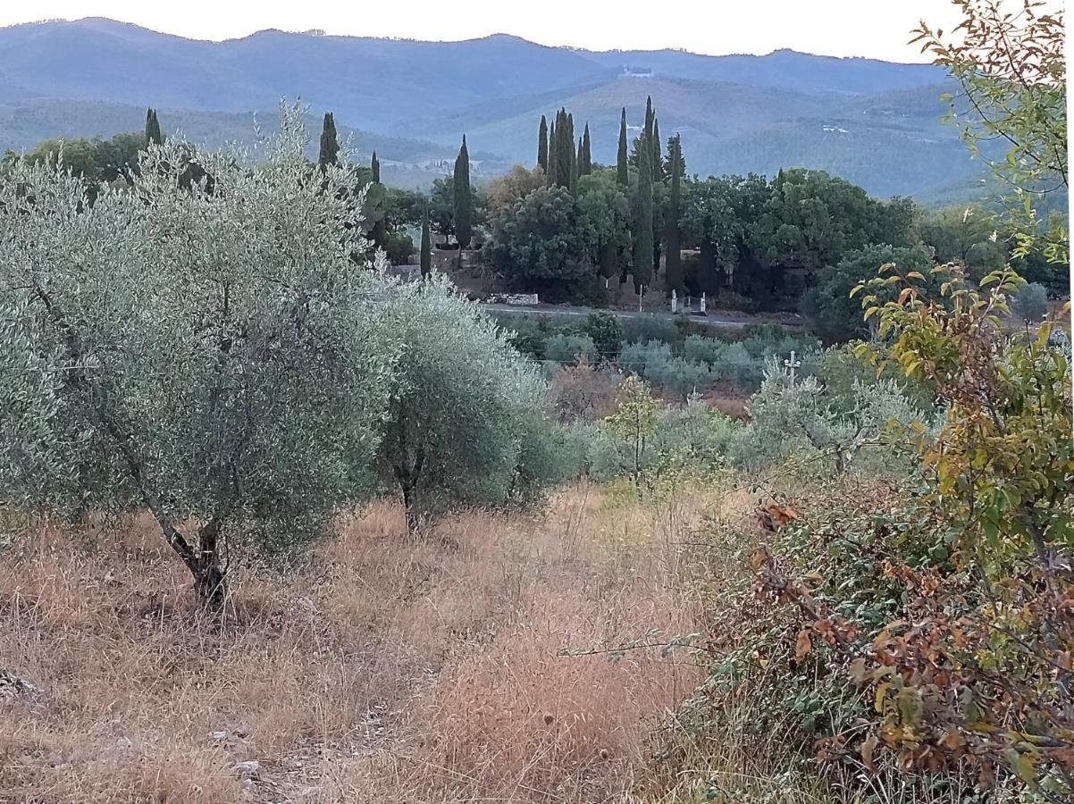 Casanova Di Ricavo Villa Gaiole in Chianti Dış mekan fotoğraf