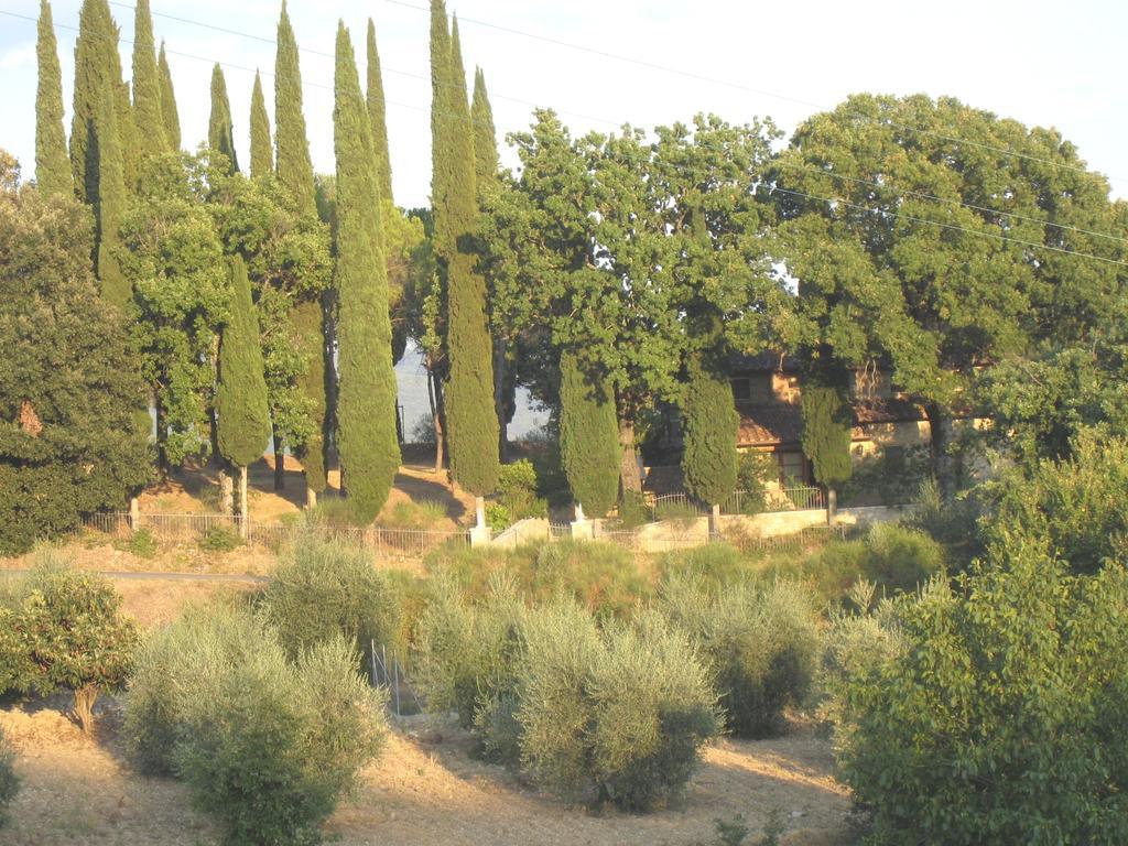 Casanova Di Ricavo Villa Gaiole in Chianti Dış mekan fotoğraf